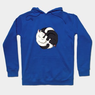 Cute Cat Ying Yang Cat Kitten Lover Hoodie